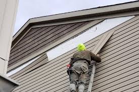 Best Attic Cleanout  in Canton, IL